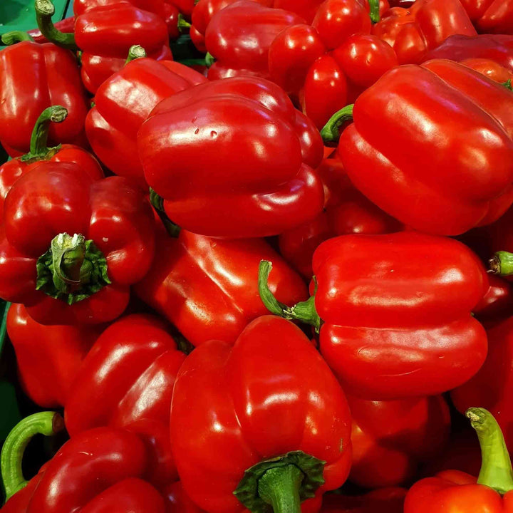 Big Red Sweet Pepper