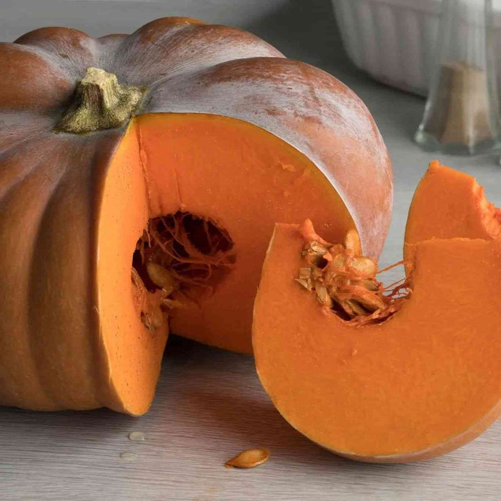 Musquee De Provence Pumpkin Seeds