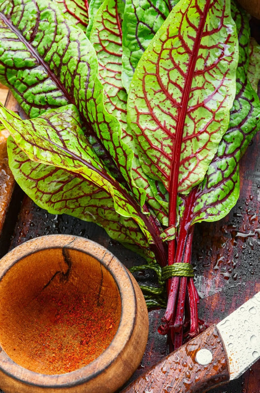 Sorrel Seeds - Red Veined - Alliance of Native Seedkeepers - 1. All Vegetables
