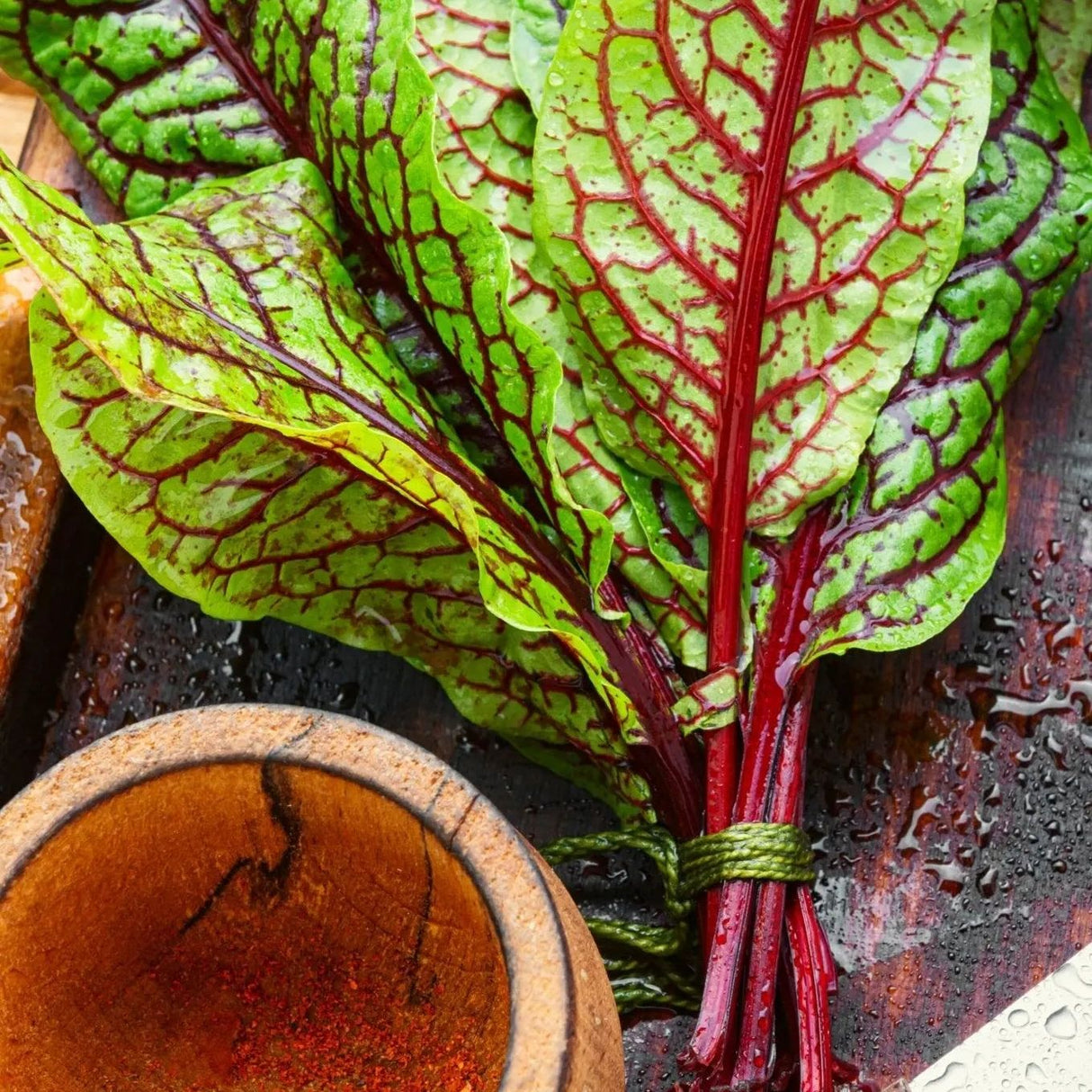 Sorrel Seeds - Red Veined Sorrel - Alliance of Native Seedkeepers - Herb Seeds