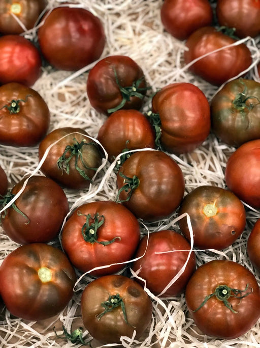 Tomato Seeds - Black Prince - Alliance of Native Seedkeepers - Tomato, Purple