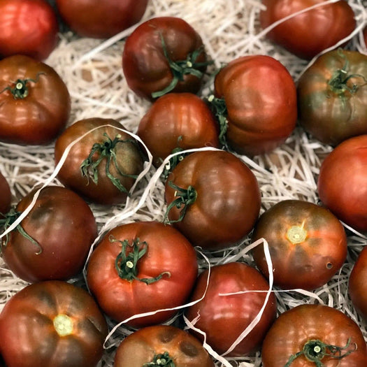Tomato Seeds - Black Prince - Alliance of Native Seedkeepers - Tomato, Purple