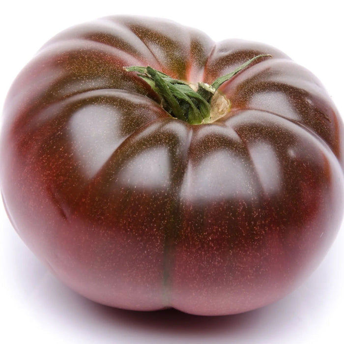 Tomato Seeds - Carbon - Alliance of Native Seedkeepers - Tomato, Purple