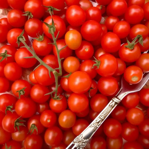 Tomato Seeds - Cherry - Matt's Wild Cherry - Alliance of Native Seedkeepers -