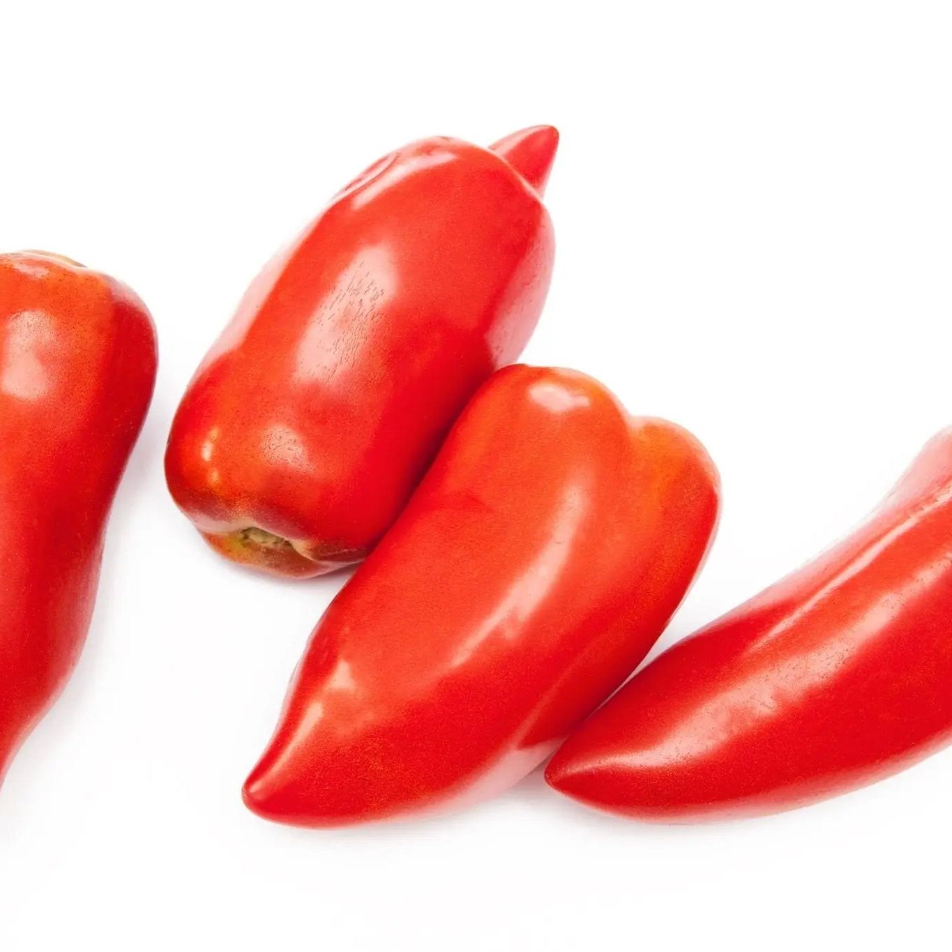 Tomato Seeds - Indeterminate - Blue Beech Paste - Alliance of Native Seedkeepers - Vegetable Seeds