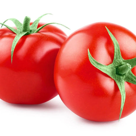 Tomato Seeds - Indeterminate - Bonny Best Standard - Alliance of Native Seedkeepers - Vegetable Seeds