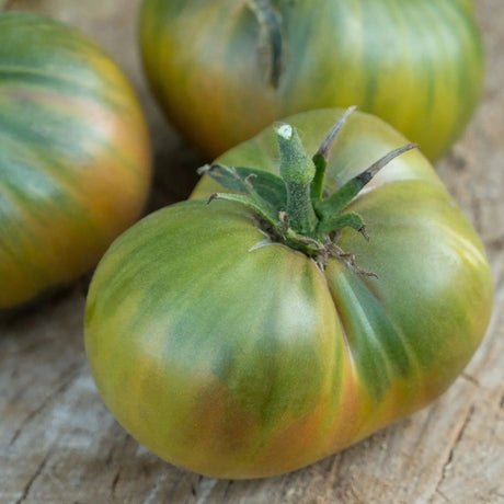Tomato Seeds - Indeterminate - Cherokee Green Beefsteak - Alliance of Native Seedkeepers - Vegetable Seeds