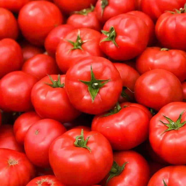 Tomato Seeds - Indeterminate - Rutgers Tomato Slicing - Alliance of Native Seedkeepers - Vegetable Seeds