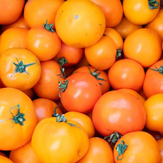 Tomato Seeds - Indeterminate - Valencia Slicing - Alliance of Native Seedkeepers - Vegetable Seeds