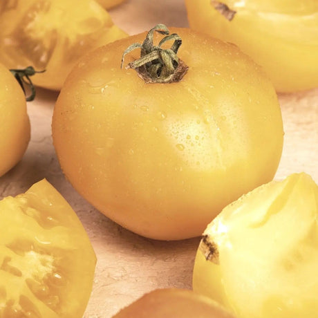 Tomato Seeds - Indeterminate - Wapsipinicon Peach Cherry - Alliance of Native Seedkeepers - Vegetable Seeds