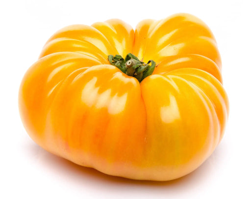 Tomato Seeds - Kentucky Beefsteak - Alliance of Native Seedkeepers - Tomato, Orange