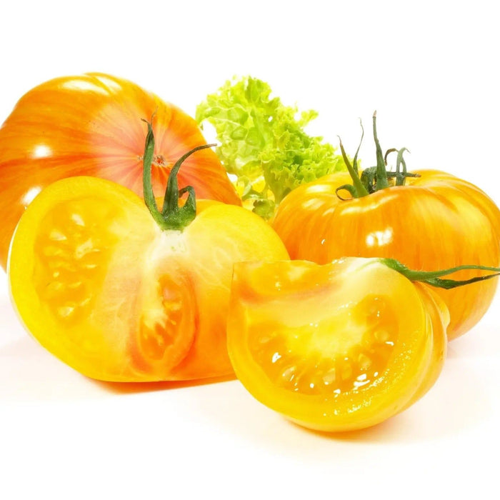 Tomato Seeds - Striped German - Alliance of Native Seedkeepers - Tomato Striped