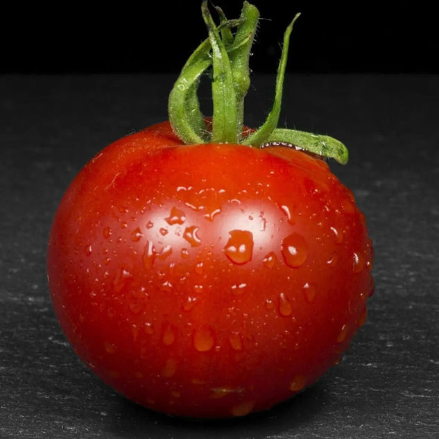 Tomato Seeds - Stupice - Alliance of Native Seedkeepers - Tomato