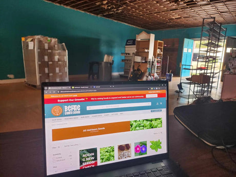 2025 Restock & Sneak Peak Into Our New Store! - Alliance of Native Seedkeepers