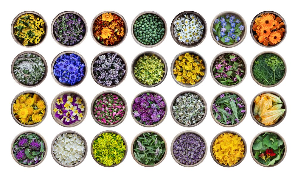 Bowls containing many types of edible flowers and herbs