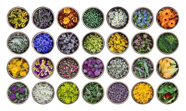Bowls containing many types of edible flowers and herbs