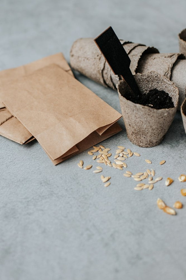 Seed packets, loose seeds, and small pots prepared for sowing