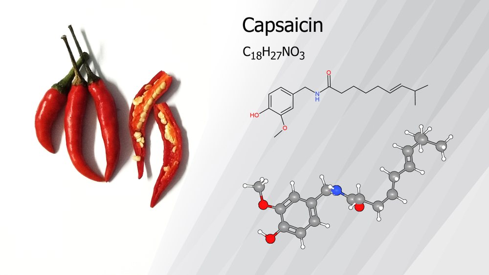 Capsaicin chemical structure shown beside red chile peppers