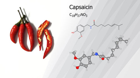 Capsaicin chemical structure shown beside red chile peppers