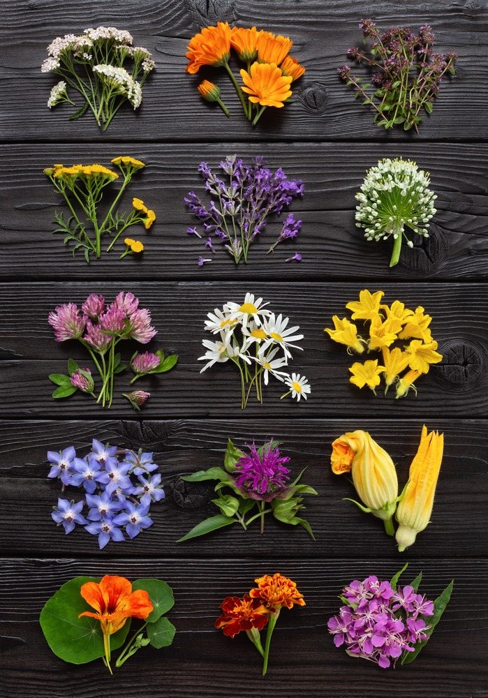 Edible and ornamental flowers arranged by type on a dark wooden surface