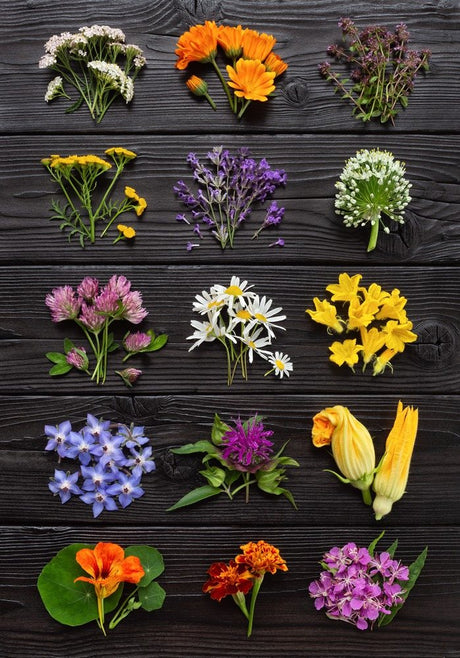 Edible and ornamental flowers arranged by type on a dark wooden surface