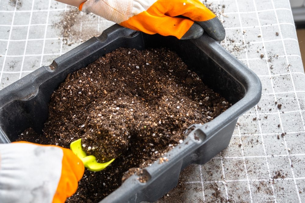 Gloved hands mixing a light seed-starting medium containing fine organic material and white aeration particles
