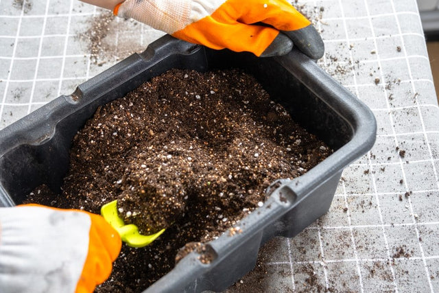 Gloved hands mixing a light seed-starting medium containing fine organic material and white aeration particles