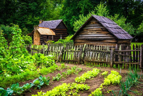 Vegetable garden at the Mountain Farm Museum in western North Carolina