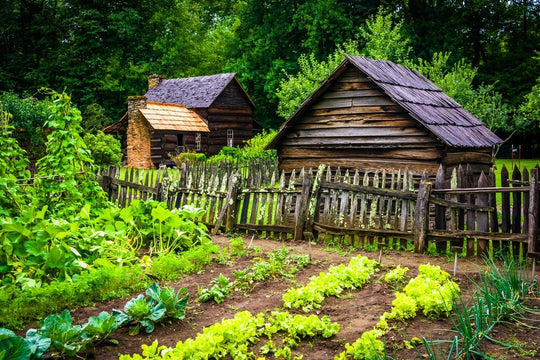 Vegetable garden at the Mountain Farm Museum in western North Carolina