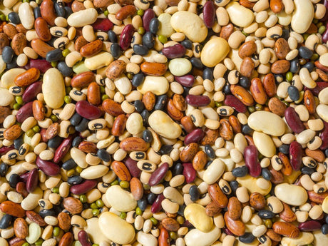Assortment of colorful dry beans representing different harvest uses