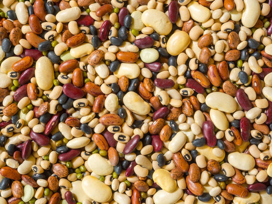 Assortment of colorful dry beans representing different harvest uses