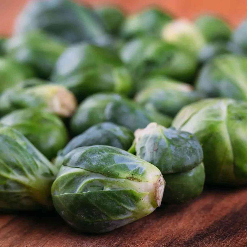 Long Island Improved Brussels sprouts forming along a tall central stalk