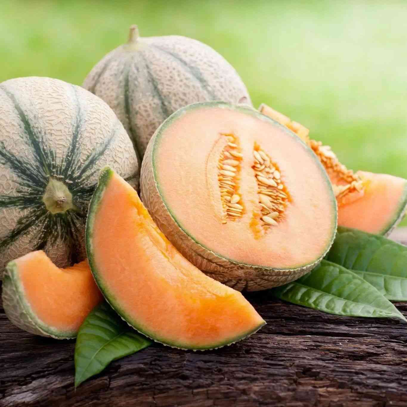 Assorted melons showing watermelon, muskmelon, honeydew, and specialty types