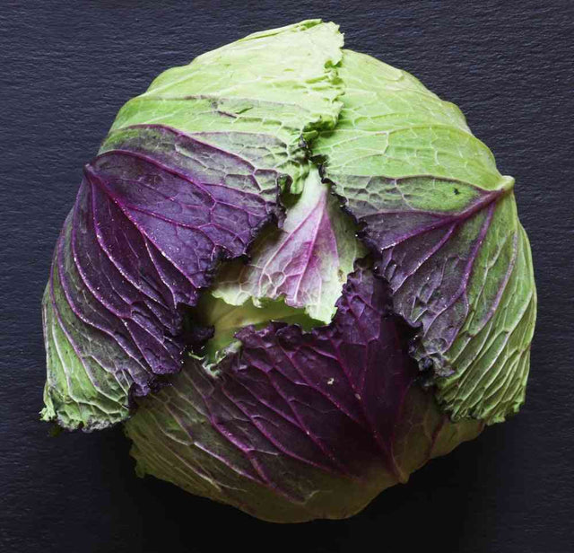 Assorted heading cabbage, savoy, conehead, Napa cabbage, and bok choy