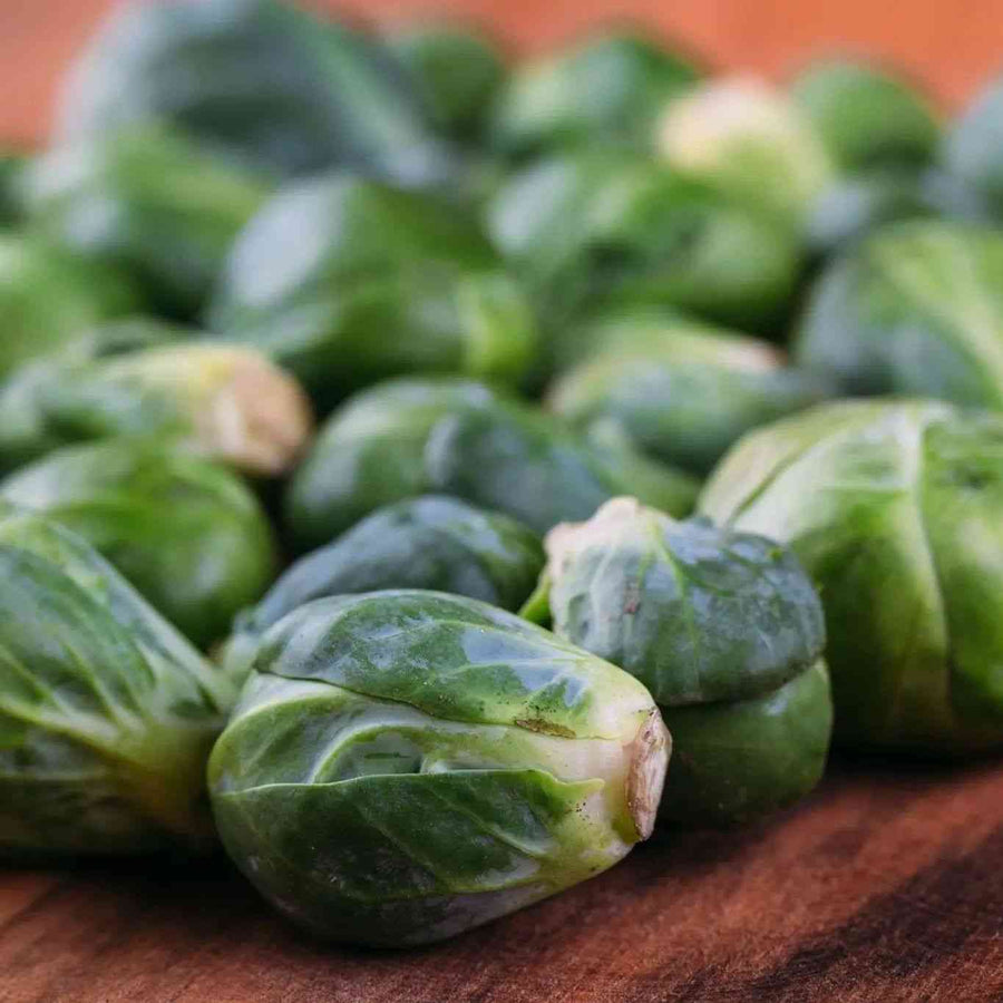 Long Island Improved Brussels Sprouts featured in the Brussels Sprout Seeds collection.