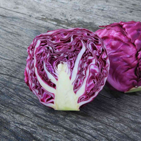 Red Acre Cabbage featured in the Cabbage Seeds - Heading Cabbage collection.