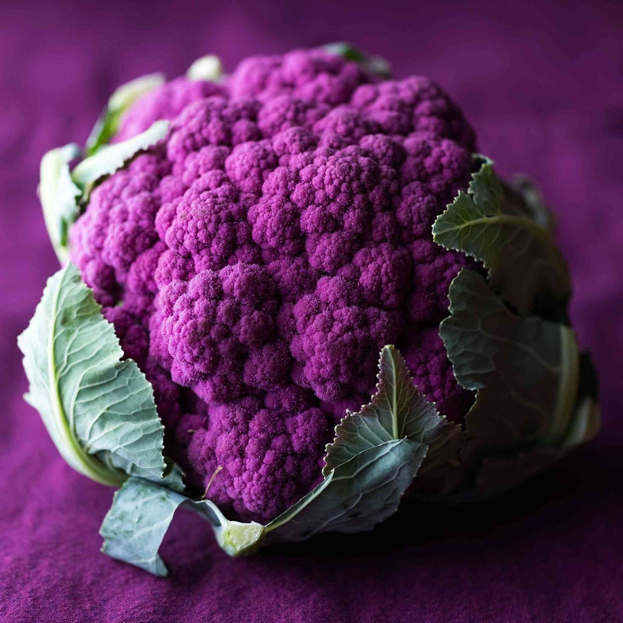 Violetta Purple Sicily Cauliflower featured in the Cauliflower Seeds collection.