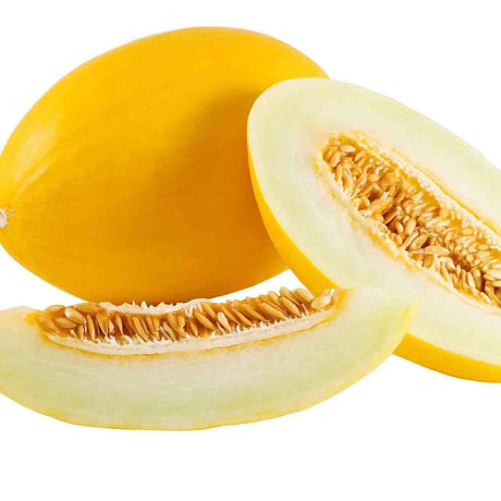 Canary Yellow specialty melon representing the Specialty Melon Seeds collection.