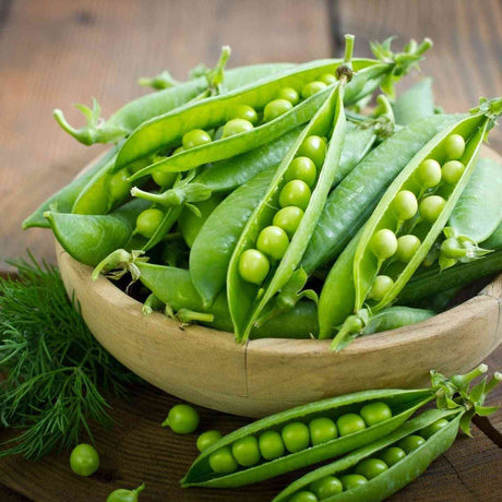 Snap Sugar Ann Pea featured in the Pea Seeds collection.