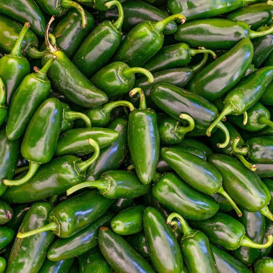 Early Jalapeño pepper representing the Hot Pepper Seeds collection.