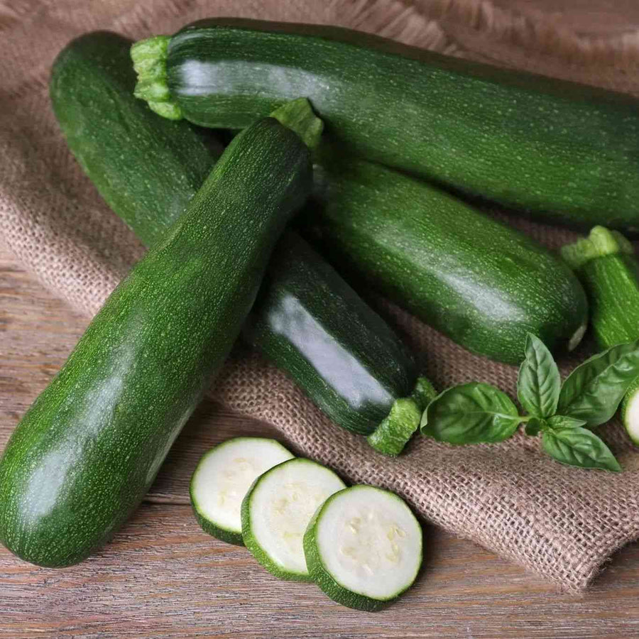 Black Beauty zucchini representing the Summer Squash Seeds collection.