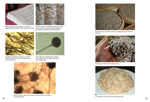 Microcosm Publishing & Distribution - Art of Fermentation: An In-Depth Exploration