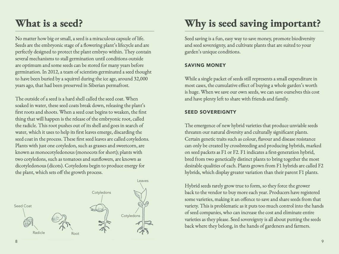 The Seed Collector's Kit
