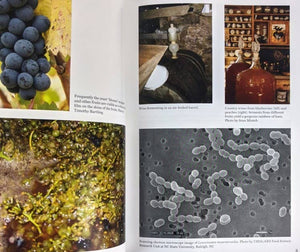 Microcosm Publishing & Distribution - Art of Fermentation: An In-Depth Exploration