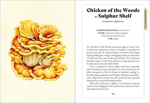 Mushroom Miscellany: Adele Nozedar