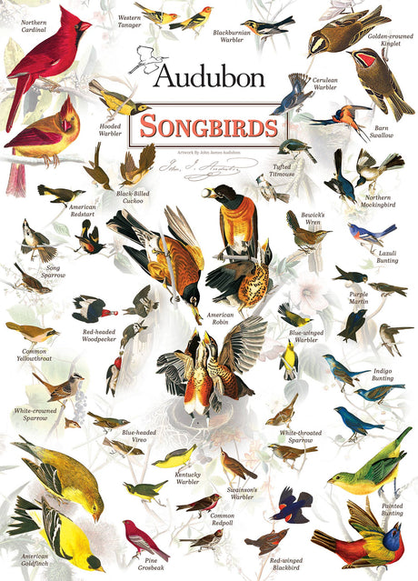 Audubon - Songbirds 1000 Piece Puzzle