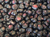 Montana Morado corn seeds and maize flour showcasing vibrant purple corn perfect for nutritious cooking