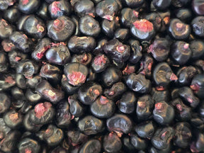 Montana Morado corn seeds and maize flour showcasing vibrant purple corn perfect for nutritious cooking