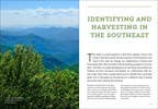 Southeast Medicinal Plants : Identify, Harvest, and Use