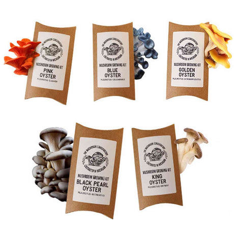 Mushroom Growing Kit